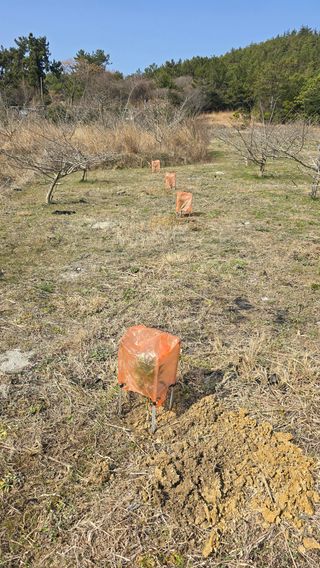 강성욱님의 기타작물 · 영농일지 작성글 사진