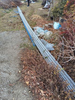 식만동 복합영농님의 기타작물 · 영농일지 작성글 사진