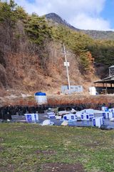 팜모닝 기타작물·영농일지 게시글 이미지