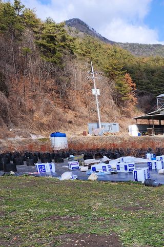 밀양달콤팜님의 기타작물 · 영농일지 작성글 사진