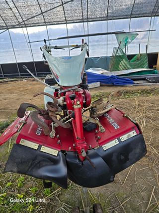 안종※님의 들깨 · 영농일지 작성글 사진