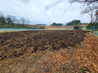 김상구님의 기타작물 · 영농일지 작성글 사진