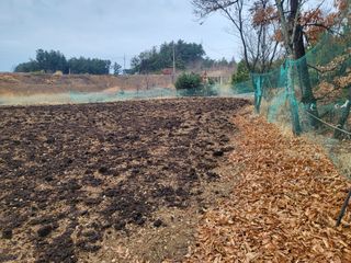 김상구님의 기타작물 · 영농일지 작성글 사진