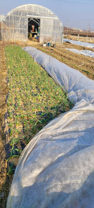 살구15128님의 기타작물 · 영농일지 작성글 사진