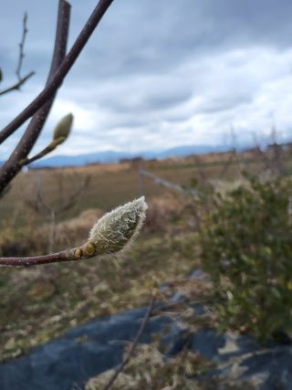 식만동 복합영농님의 기타작물 · 영농일지 작성글 사진