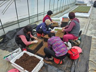 함영동님의 기타작물 · 영농일지 작성글 사진