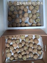 팜모닝 기타작물·영농일지 게시글 이미지