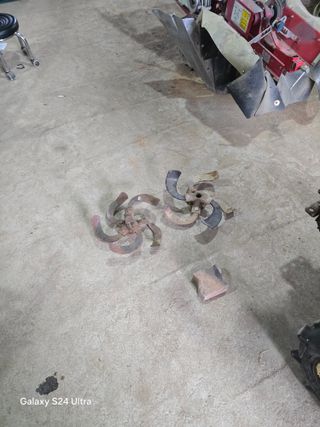 안종※님의 들깨 · 영농일지 작성글 사진