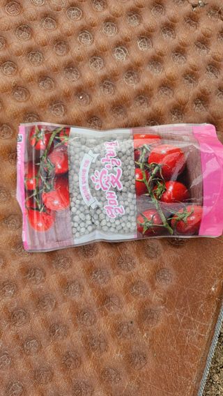 김남근님의 옥수수 · 영농일지 작성글 사진