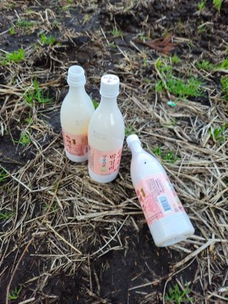 새달귤농장님의 귤 · 영농일지 작성글 사진