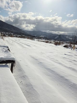 정민지호맘님의 기타작물 · 영농일지 작성글 사진