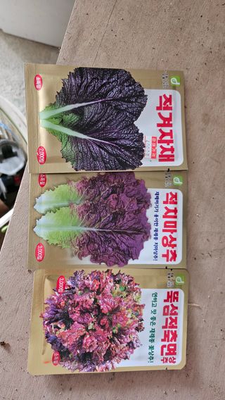 김남근님의 옥수수 · 영농일지 작성글 사진