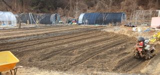 김원기님의 감자 · 영농일지 작성글 사진