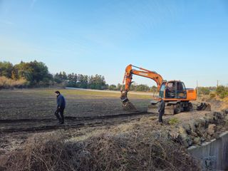 새달귤농장님의 귤 · 영농일지 작성글 사진