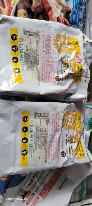 김동제님의 양파 · 영농일지 작성글 사진