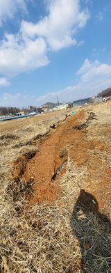 팜모닝 감자·영농일지 게시글 이미지