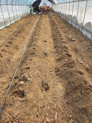 정민지호맘님의 기타작물 · 영농일지 작성글 사진