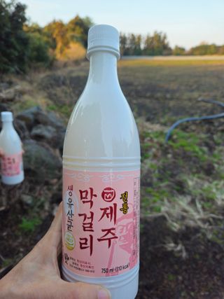 새달귤농장님의 귤 · 영농일지 작성글 사진