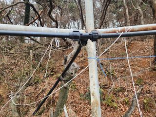 차태현님의 기타작물 · 영농일지 작성글 사진