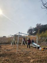팜모닝 기타작물·영농일지 게시글 이미지