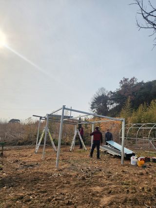 황미순님의 기타작물 · 영농일지 작성글 사진