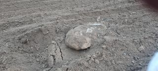 박사원농장님의 기타작물 · 영농일지 작성글 사진