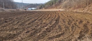 박사원농장님의 기타작물 · 영농일지 작성글 사진