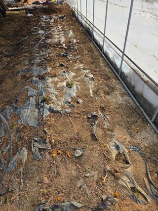 정민지호맘님의 기타작물 · 영농일지 작성글 사진