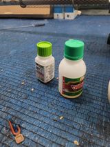 팜모닝 딸기·영농일지 게시글 이미지