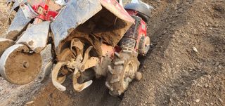 김원기님의 감자 · 영농일지 작성글 사진