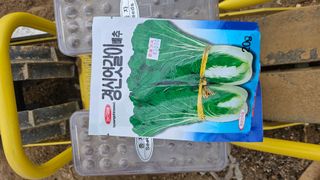 김남근님의 옥수수 · 영농일지 작성글 사진