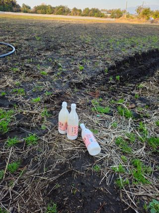 새달귤농장님의 귤 · 영농일지 작성글 사진