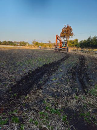 새달귤농장님의 귤 · 영농일지 작성글 사진