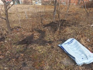 손 무현님의 두릅 · 영농일지 작성글 사진