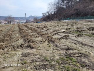금산 송씨 님의 기타작물 · 영농일지 작성글 사진
