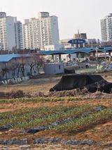 팜모닝 기타작물·영농일지 게시글 이미지