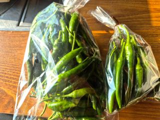 늘햇살팜 님의 기타작물 · 영농일지 작성글 사진