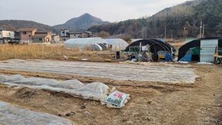 김윤회님의 기타작물 · 영농일지 작성글 사진