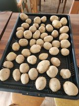 팜모닝 기타작물·영농일지 게시글 이미지