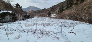 장봉덕님의 기타작물 · 영농일지 작성글 사진