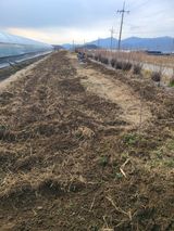 팜모닝 고추·영농일지 게시글 이미지