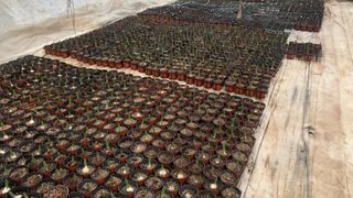 원스피릿팜님의 기타작물 · 영농일지 작성글 사진