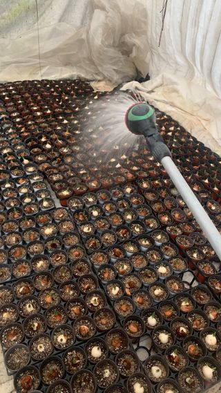 원스피릿팜님의 기타작물 · 영농일지 작성글 사진