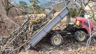 김호준님의 배 · 영농일지 작성글 사진