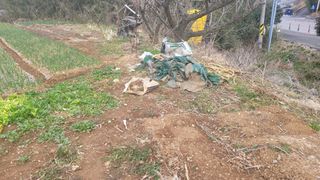 정정치님의 기타작물 · 영농일지 작성글 사진