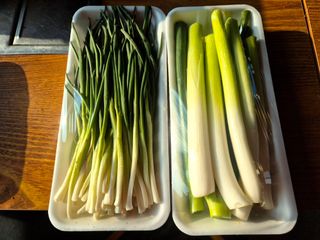 늘햇살팜 님의 기타작물 · 영농일지 작성글 사진