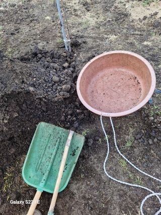 (김영준)쉐프님의 기타작물 · 영농일지 작성글 사진