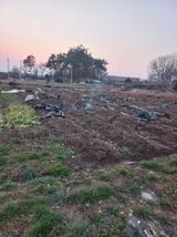 팜모닝 고추·영농일지 게시글 이미지