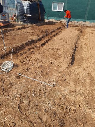 이종선님의 감자 · 영농일지 작성글 사진