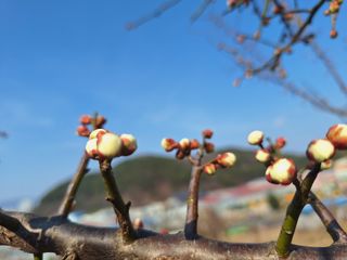 레인보우가든님의 기타작물 · 영농일지 작성글 사진